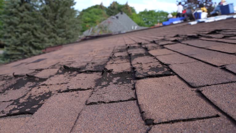 Best Wood Shake Roofing  in Grosse Pointe Park, MI